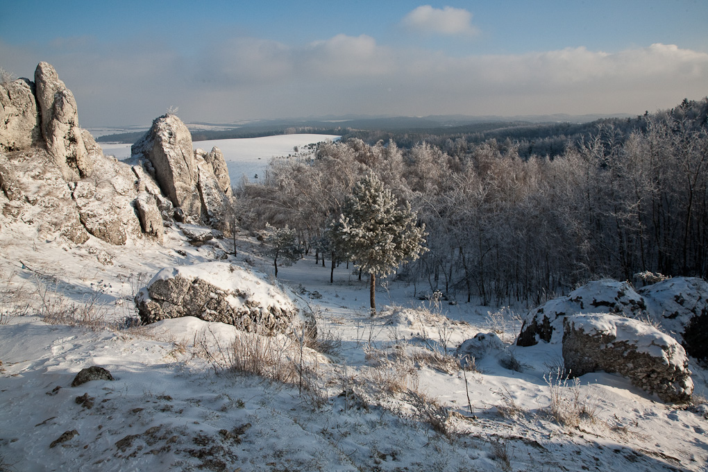 Ogrodzieniec